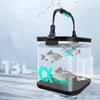Foldable Live Fish Bucket