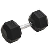 Vidaxl Dumbbells 20 kg Cast Iron